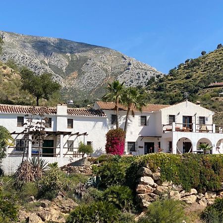 Cortijo Las Palmeras El Chorro Alora Extérieur photo
