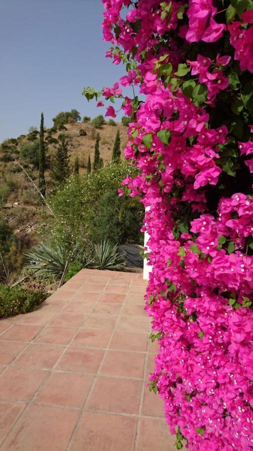 Cortijo Las Palmeras El Chorro Alora Extérieur photo